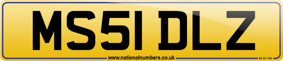 MS51 DLZ