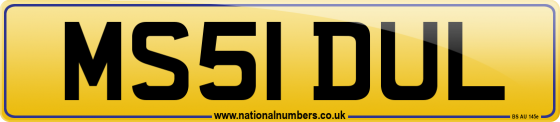 MS51 DUL