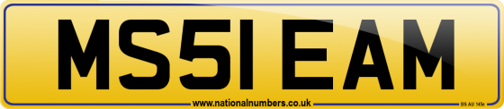 MS51 EAM