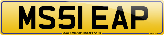 MS51 EAP