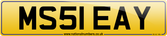 MS51 EAY