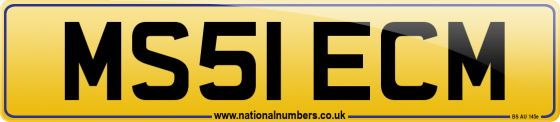 MS51 ECM
