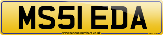 MS51 EDA