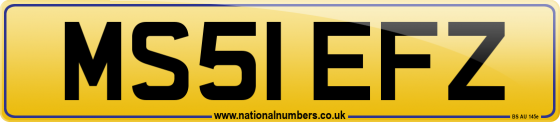 MS51 EFZ