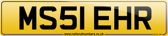 MS51 EHR