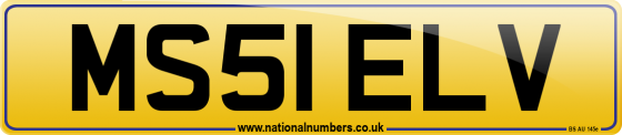 MS51 ELV