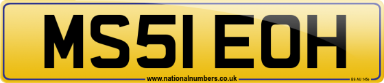 MS51 EOH