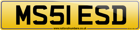 MS51 ESD