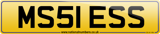 MS51 ESS