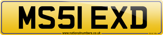 MS51 EXD