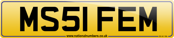 MS51 FEM