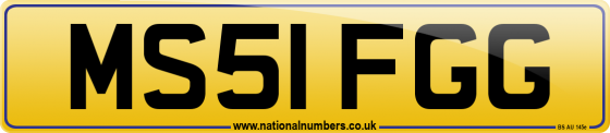 MS51 FGG
