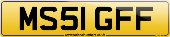 MS51 GFF