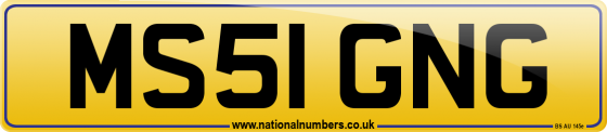 MS51 GNG