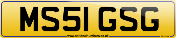 MS51 GSG
