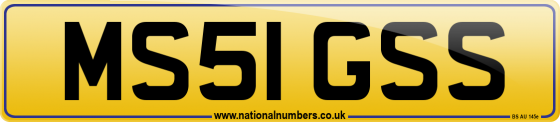 MS51 GSS