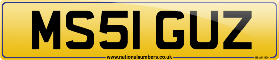 MS51 GUZ