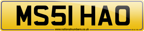 MS51 HAO