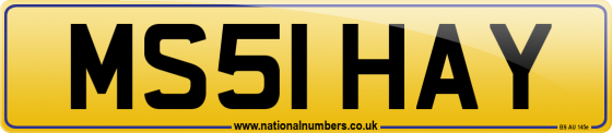 MS51 HAY