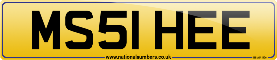 MS51 HEE