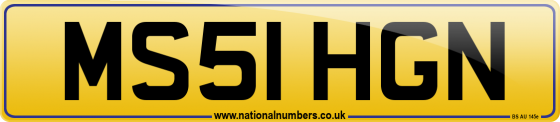MS51 HGN