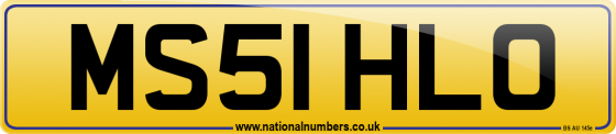MS51 HLO