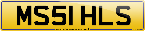 MS51 HLS