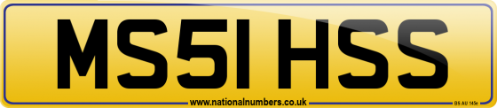 MS51 HSS