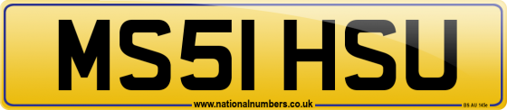 MS51 HSU