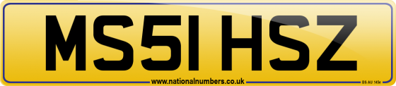 MS51 HSZ