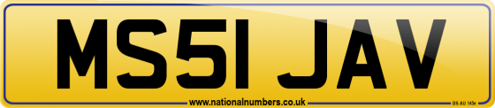 MS51 JAV