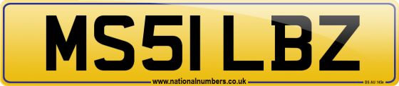 MS51 LBZ