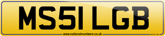 MS51 LGB