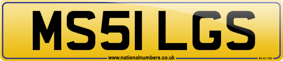 MS51 LGS