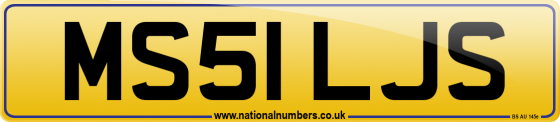 MS51 LJS