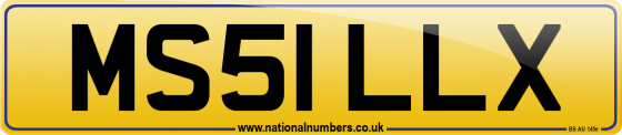 MS51 LLX