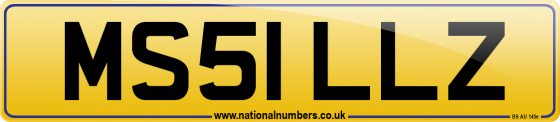 MS51 LLZ