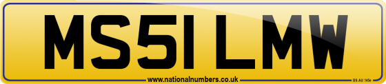 MS51 LMW