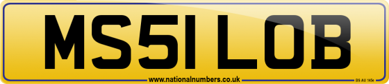 MS51 LOB