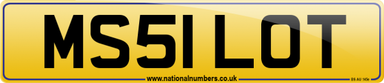 MS51 LOT
