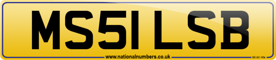 MS51 LSB