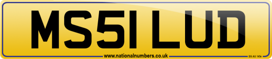 MS51 LUD