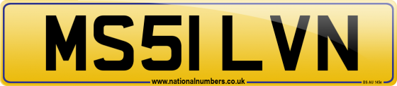 MS51 LVN