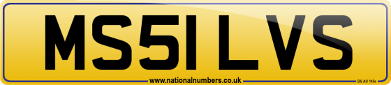 MS51 LVS