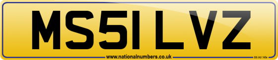 MS51 LVZ