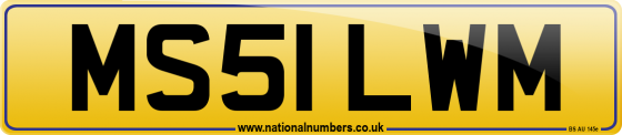 MS51 LWM
