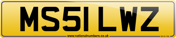 MS51 LWZ