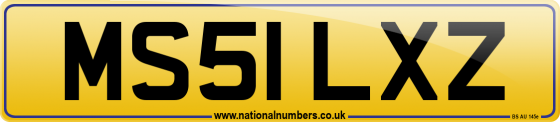 MS51 LXZ