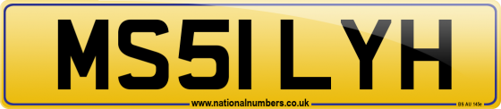 MS51 LYH