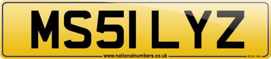 MS51 LYZ